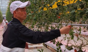 2025년에도 함께할 '푸른동행, 이어가기'를 기대합니다 | 직업지원부 직업능력향상팀